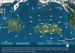Great Pacific Garbage Patch map